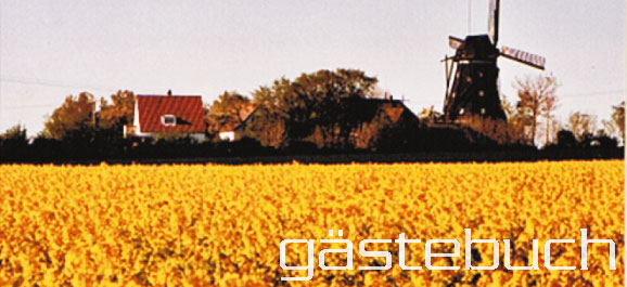 Windm&uuml;hle Fehmarn Raps